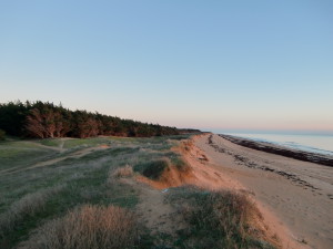 plage Julie le 09-12-10 010