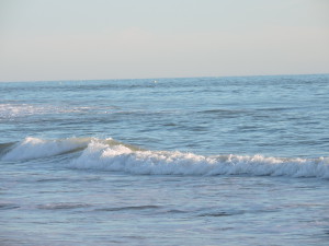 plage de la paree du jonc 009